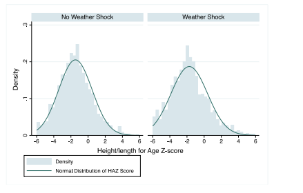 Figure A1. Distribution of HAZ score by weather shock